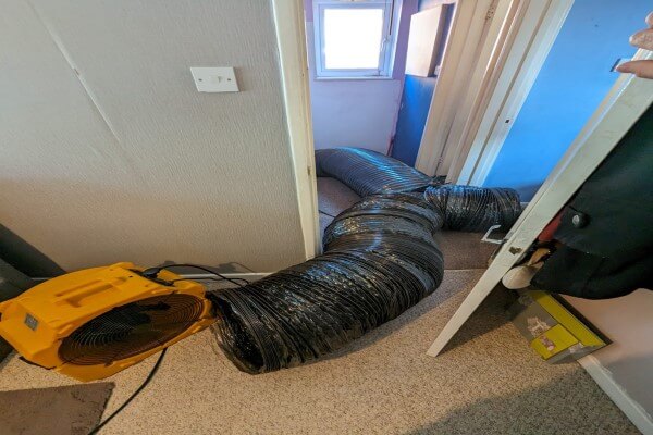 PEST CONTROL BIGGLESWADE, Bedfordshire. Services: Bed Bug Heat Treatments. Biggleswade's Trusted Bed Bug Heat Treatment Specialists